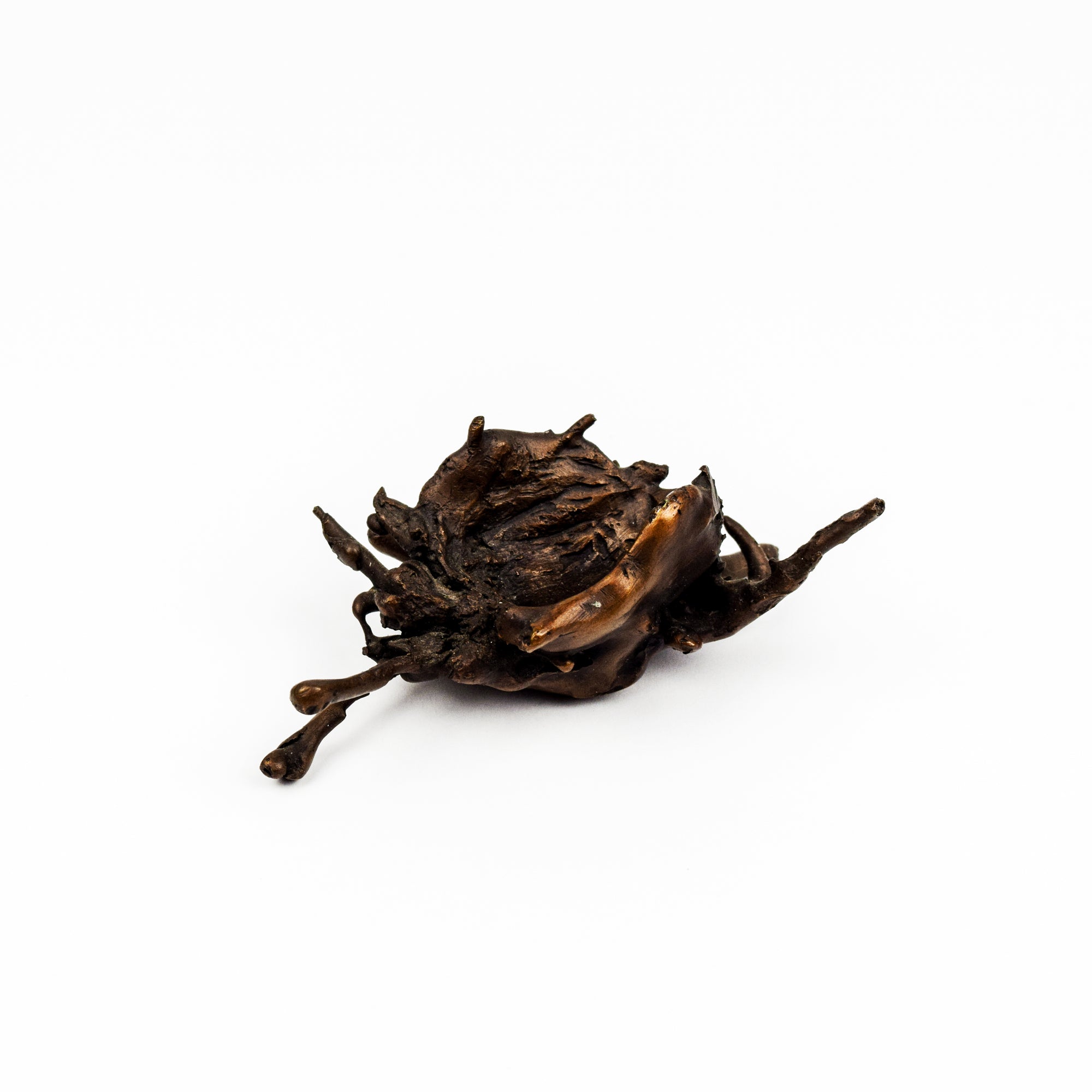 Anne Ricketts Sculptures - Nature Series - Nest