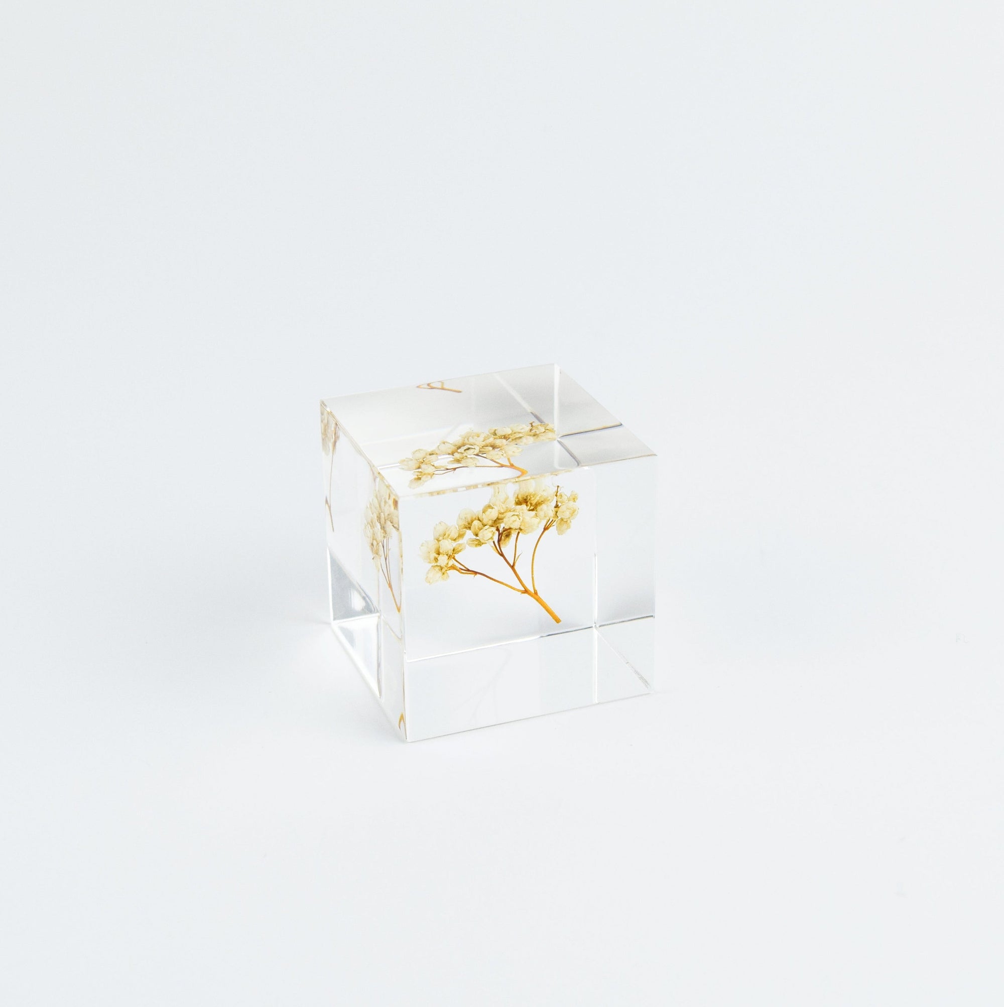 Clear cube with gold leaf on a white background