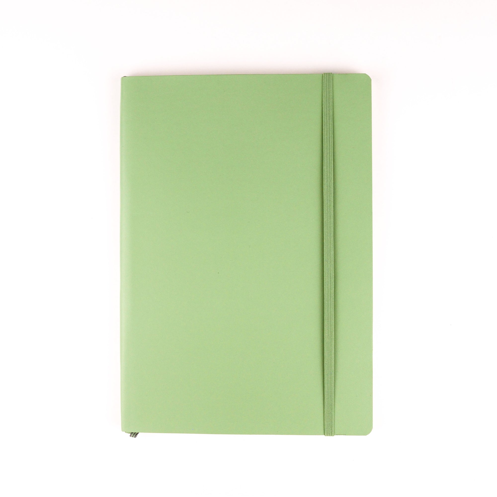 LEUCHTTURM1917 Classic Notebooks - Large (B5) Softcover - Sage - Plain Paper
