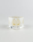 Clear cube with lacy leaf inside on a light gray background