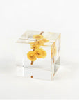 Sola Cubes - Botanicals