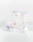 Sola Cubes - Sakura (Cherry Blossom)