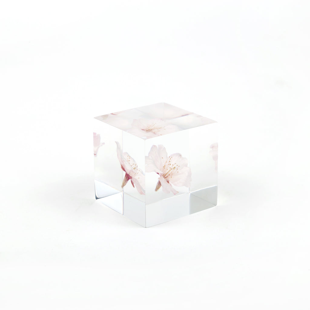 Sola Cubes - Botanicals