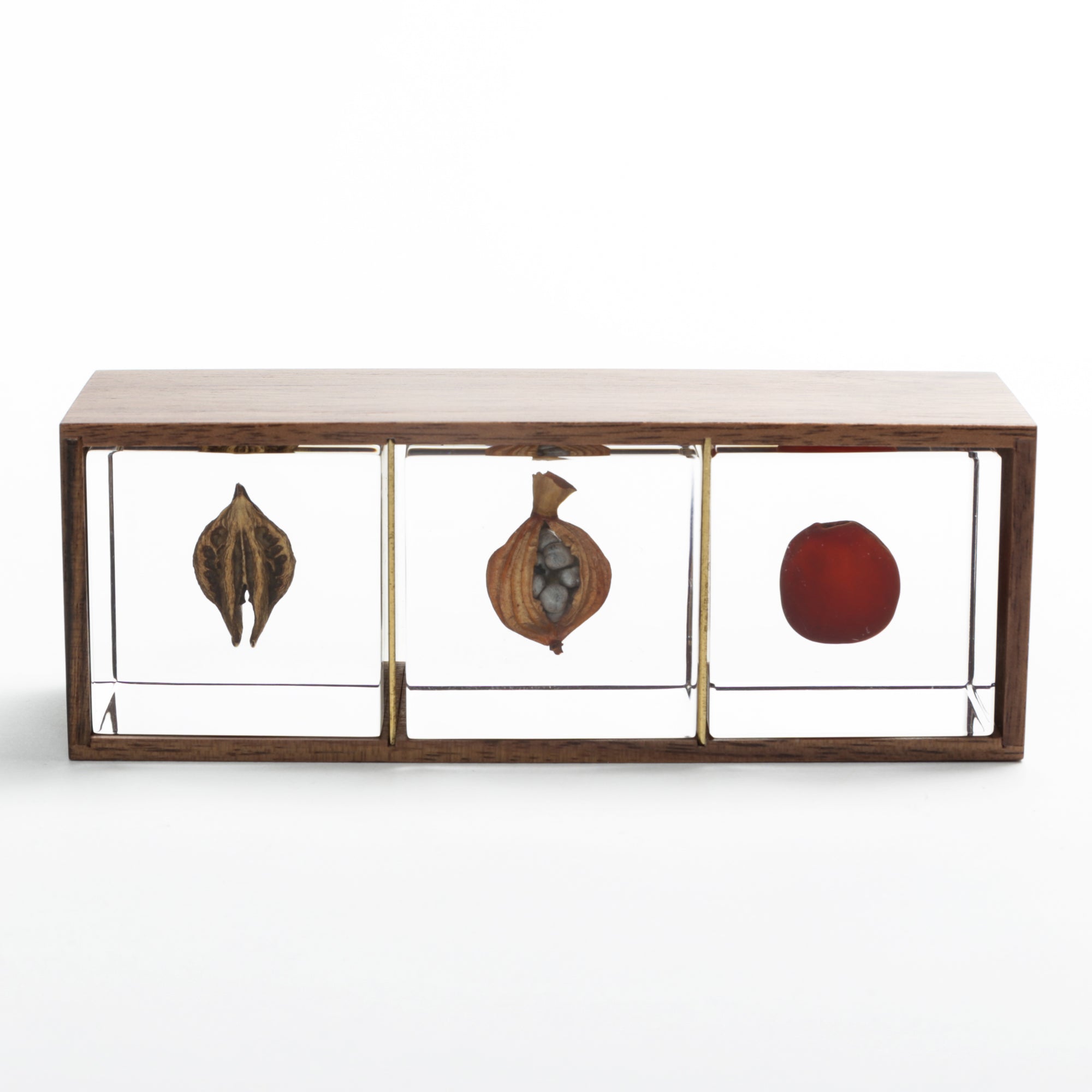 Sola Cube Display Box