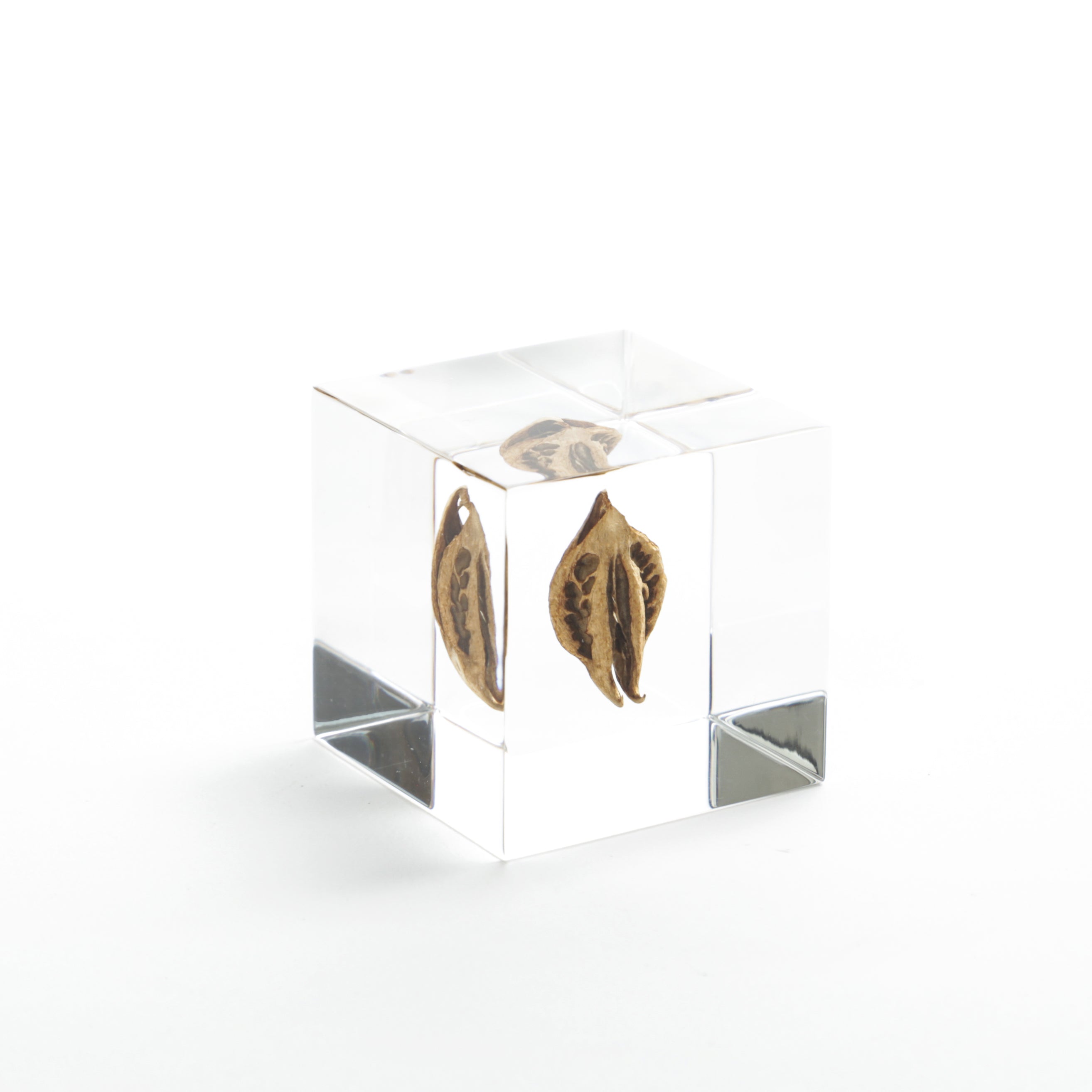 Sola Cubes - Botanicals – Canoe