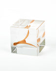 Sola Cubes - Botanicals