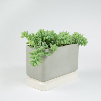 Sill Planters - Large