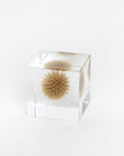 Sola Cubes - Botanicals