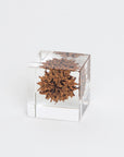 Sola Cubes - Botanicals