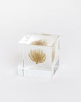 Sola Cubes - Botanicals