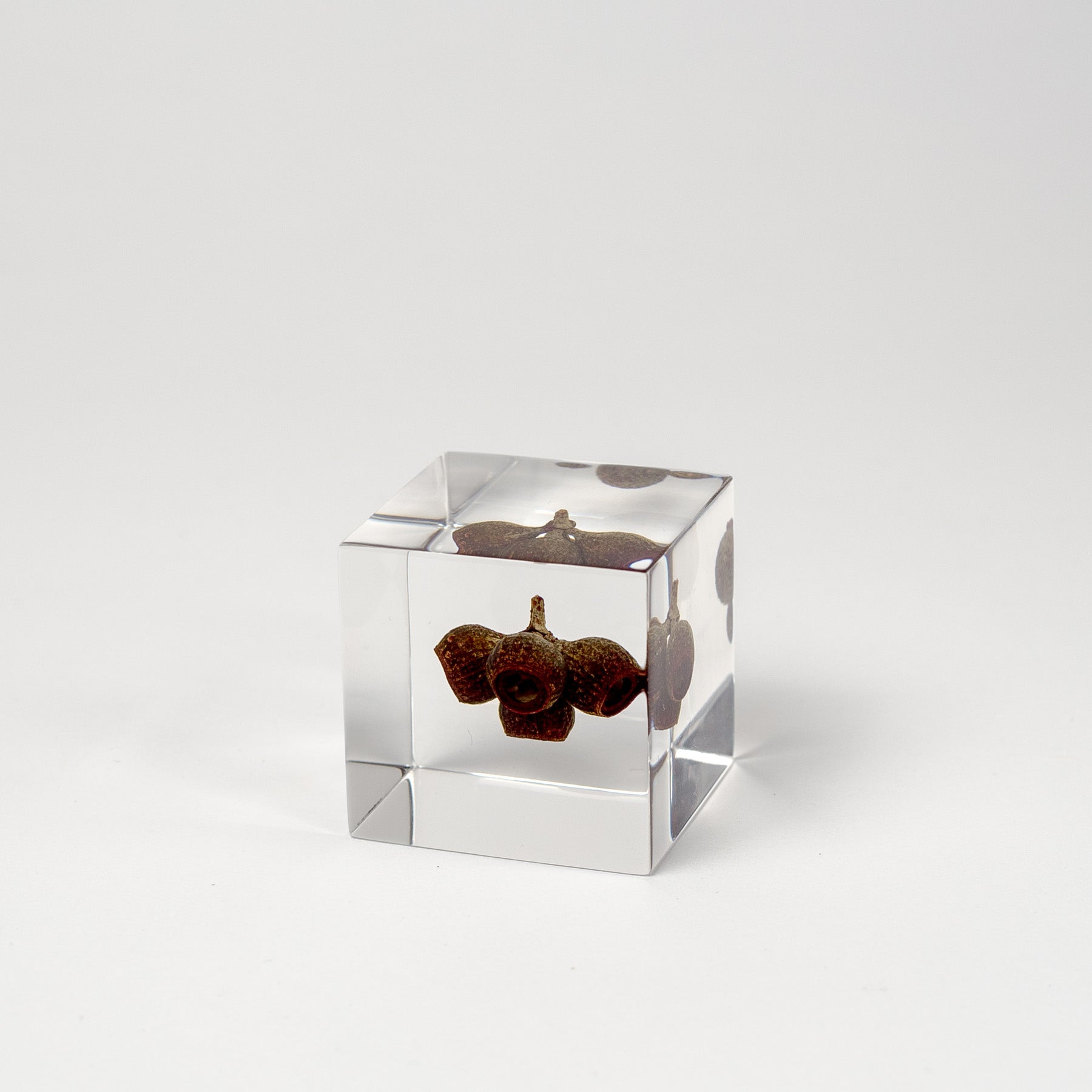 Cubulete Sunca Sola Cubes - Botanicals – Canoe