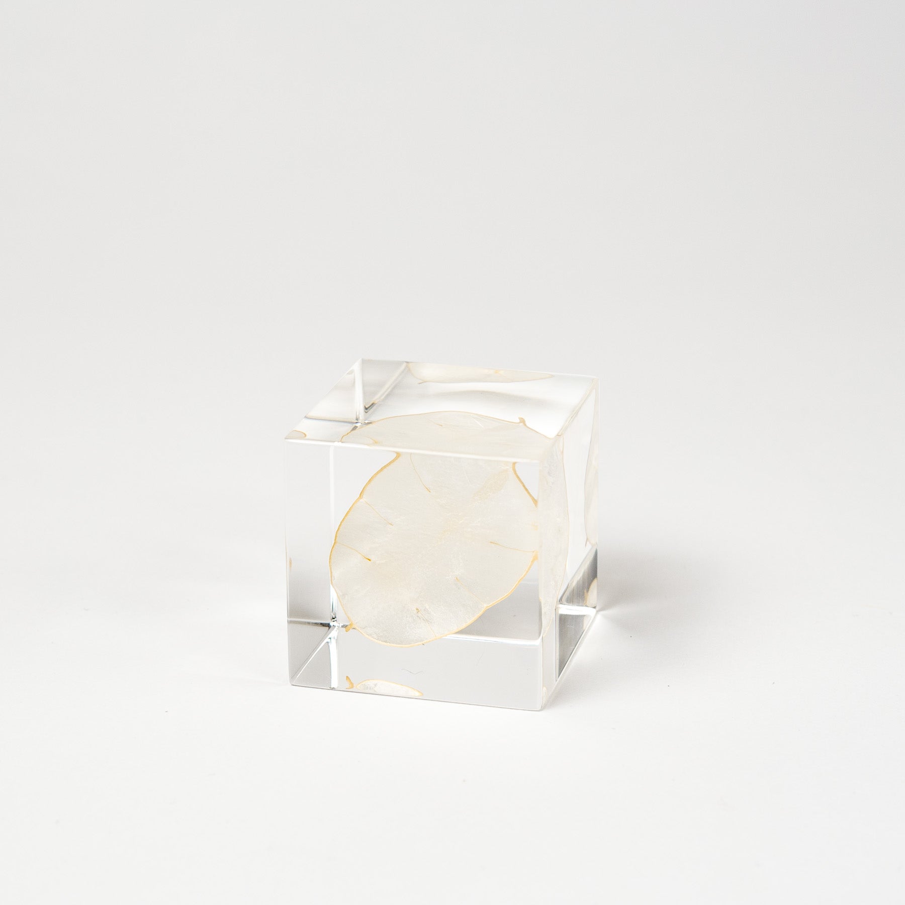 Sola Cubes - Botanicals