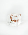Sola Cubes - Botanicals