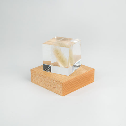 Light Base LED