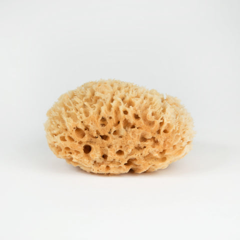 Natural Sea Wool Sponges