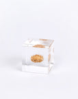Sola Cubes - Botanicals