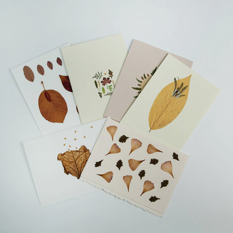 Leaf Cards, Set of Six